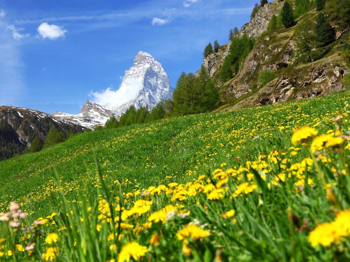 Apartment Obri Tuftra-7 By Interhome Zermatt Dış mekan fotoğraf